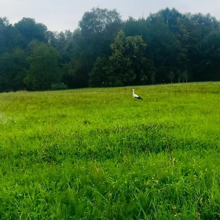 بيت خشبي Romantyczna