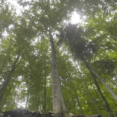 Romantyczna بيت خشبي Pisarzowice (Bielsko)