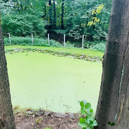 Romantyczna * Pisarzowice (Bielsko)