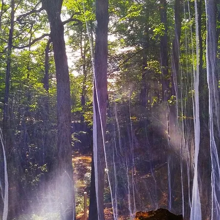 Romantyczna Pisarzowice (Bielsko)