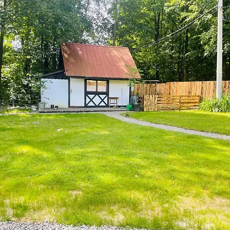 Romantyczna Alojamento de Turismo Selvagem Pisarzowice (Bielsko)