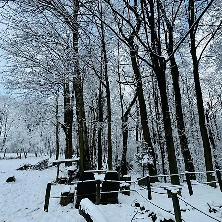 Romantyczna Jaktstuga