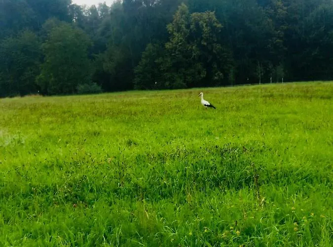 Domek letniskowy Romantyczna