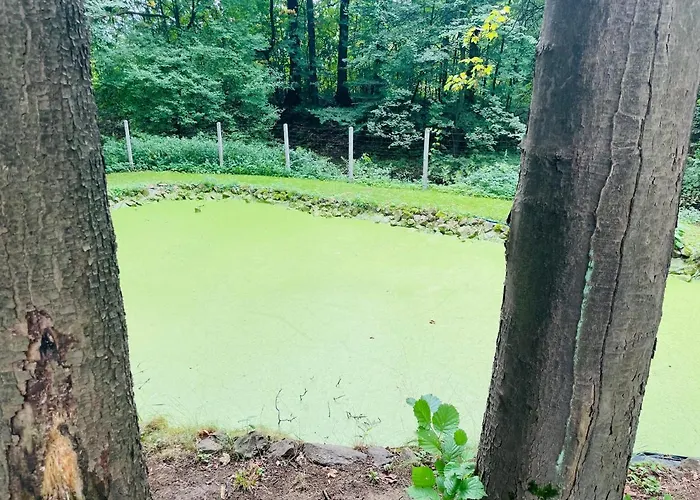 Romantyczna * Pisarzowice (Bielsko)