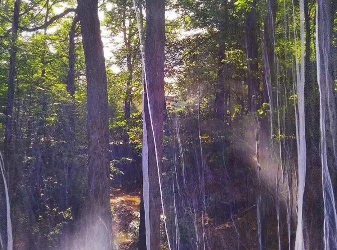 Romantyczna Pisarzowice (Bielsko)